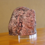 Titolo: Leiluna -Tecnica: Ceramica-Raku - 18x20 cm - 2005 - 0